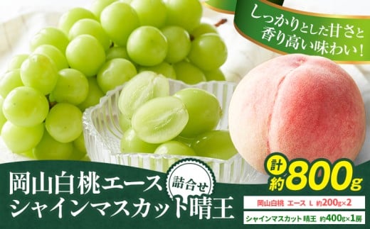 【先行予約】岡山県産 岡山白桃 エース L~ 3Lサイズ シャインマスカット 計 800g 詰合せ 株式会社 はちや《7月上旬-8月下旬頃出荷》もも 岡山 国産 フルーツ 果物 岡山県 浅口市 フルーツ モモ 果物【配送不可地域あり】