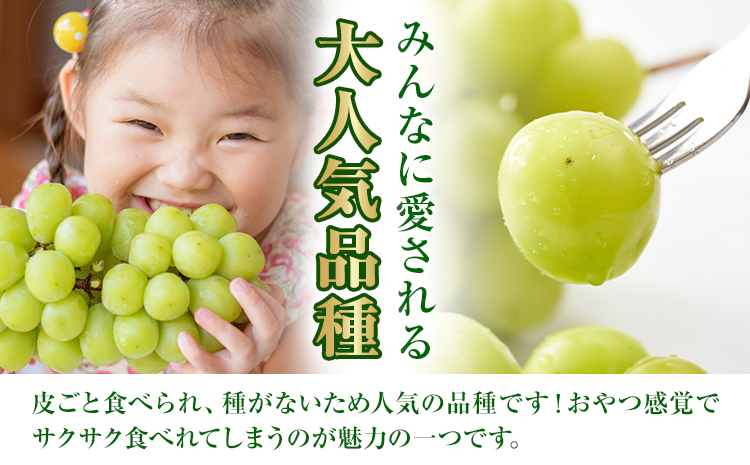 ã2026幎å
è¡äºçŽã岡山çç£ ã·ã£ã€ã³ãã¹ã«ãã çŽ500g ( 1æ¿ ) ã¯ãŒã«äŸ¿ æŽãã®åœ ããããŸé€š(ãã«ãŒãã©ã³ã岡山) ã2026幎8æäžæ¬-9æäžæ¬é åºè·ãå²¡å±±ç æµ
å£åžãé
éäžå¯å°åãããïŒé¢å³¶ïŒ