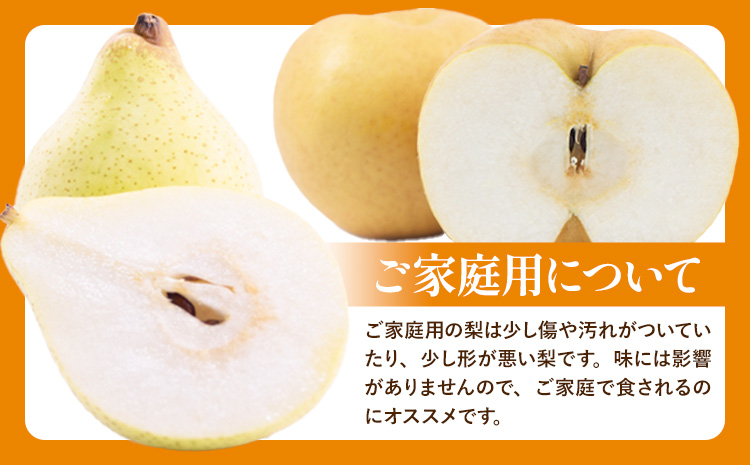 ãããæ¢š2ã3ç ã€ãŒãªãŒ3ã7ç å®¶åºçšè©°ãåãã4kgç®± ç³åææš¹å ã2026幎11æäžæ¬-12æäžæ¬é ããçºéäºå®ãå²¡å±±ç æµ
å£åž 梚 ãªã æç© ãã«ãŒã ãã ãã® ããã èš³ãã