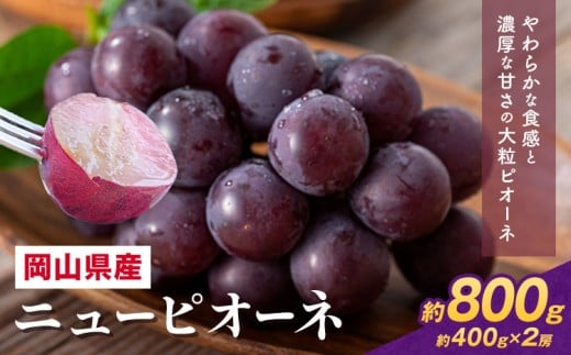 【先行予約】 岡山県産 ニューピオーネ詰合せ 選べる 計 800g 株式会社はちや《8月下旬‐9月下旬頃出荷》岡山県 浅口市 ぶどう 葡萄 フルーツ ギフト 果物 デザート 国産 送料無料【配送不可地域あり】