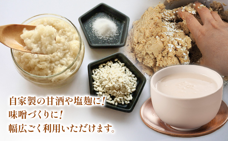 発酵生活研究所 麹3種詰め合わせセット(乾燥品) 米麹 白麹 有機米麹 500g×3袋 丸本酒造株式会社《30日以内に出荷予定(土日祝除く)》岡山県 浅口市 麹 こうじ 乾燥 発酵食品 甘酒 塩麹 味噌 詰め合わせ セット 送料無料st-p