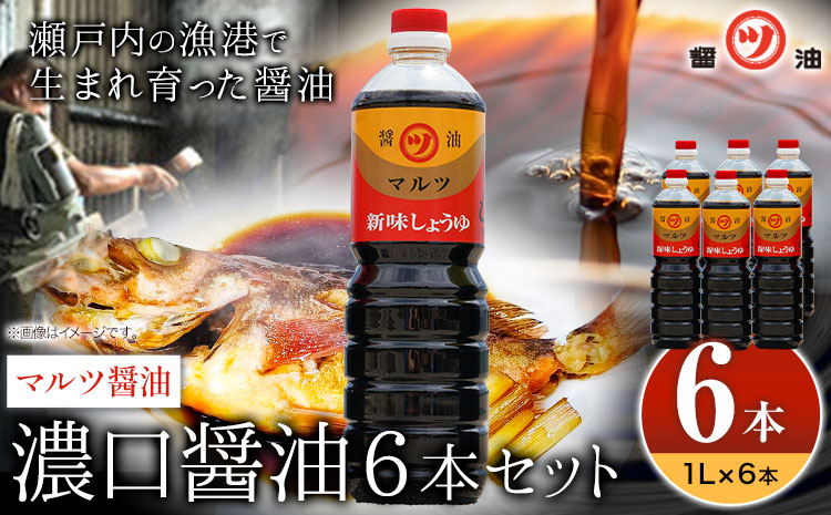 醤油 濃口醤油 6本セット 1L×6本 道広醤油店《90日以内に出荷予定(土日祝除く)》岡山県 浅口市 濃口醤油 甘口醤油 国産 調味料 しょうゆ 醤油6本 送料無料