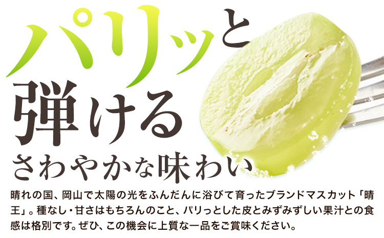 ぶどう [2025年先行予約] シャインマスカット 晴王 550g《2025年9月中旬-11月上旬頃出荷》ハレノスイーツ 岡山中央卸売市場店 マスカット 送料無料 岡山県 浅口市 フルーツ 果物 贈り物 ギフト 国産 【配送不可地域あり】