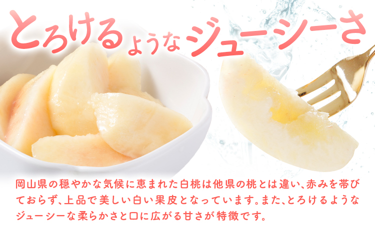 【先行予約】岡山の白桃2回コース 8玉 (1.7kg以上) 株式会社山博 (中本青果)《2026年7月上旬から8月上旬頃出荷》岡山県 浅口市 桃 もも フルーツ 送料無料 冷蔵 定期便【配送不可地域あり】（北海道・沖縄・離島）