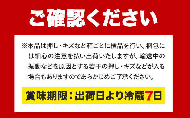 【先行予約】訳あり ぶどう ニューピオーネ ご家庭用 計2kg たけまさぶどう園 《2025年7月下旬-10月上旬頃出荷》岡山県 浅口市 送料無料 フルーツ 果物 岡山県産 青果物 お取り寄せフルーツ【配送不可地域あり】(離島)