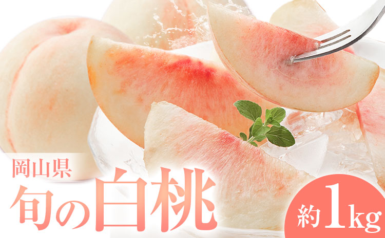桃 岡山県の旬の白桃 約1kg 花田青果株式会社《6月下旬-8月下旬頃出荷予定(土日祝除く)》岡山県 浅口市 白桃 桃 もも 旬 フルーツ 果物【配送不可地域あり】