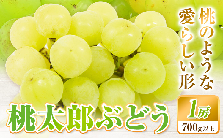 【2025年先行予約】桃太郎ぶどう 1房 700g ウィズフラワーホールディングス《8月下旬-10月中旬頃出荷》岡山県 浅口市 ぶどう フルーツ 旬 果物 国産 岡山県産 送料無料 冷蔵【配送不可地域あり】（北海道・沖縄・離島）