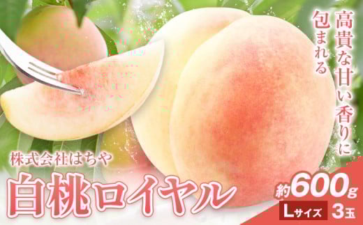 【先行予約】岡山白桃 等級 ロイヤル 約600g《7月上旬‐8月下旬頃出荷》もも モモ 岡山 国産 フルーツ 果物 岡山県 浅口市 株式会社 はちや フルーツ モモ 果物 青果 旬 白桃 国産 岡山県産【配送不可地あり】
