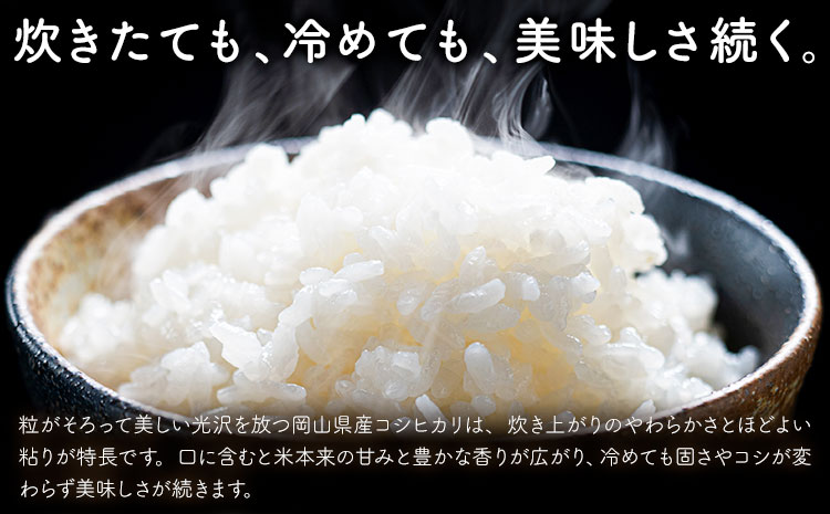 岡山県産 こしひかり 10kg(5kg×2袋) 精米 全農パールライス株式会社《30日以内に出荷予定(土日祝除く)》 岡山県 浅口市 送料無料 こめ 精米 コシヒカリ