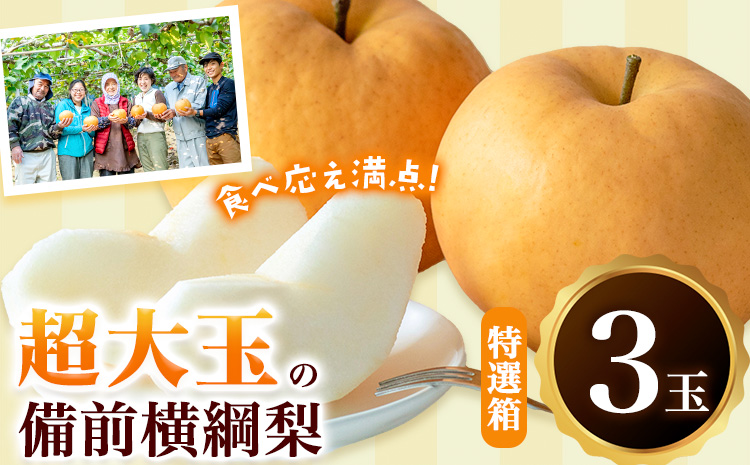 【2026年先行予約】梨 横綱梨 超大玉 3玉 (1～1.5㎏/玉） 特選箱 石原果樹園 フルーツ 果物 新鮮《2026年11月中旬-12月下旬頃より発送予定》岡山県 浅口市 フルーツ 果物 ギフト 贈り物 国産 岡山県産 送料無料