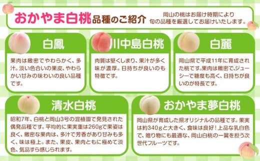 【先行予約】岡山白桃 等級 ロイヤル 約1.8kg《7月上旬‐8月下旬頃出荷》もも モモ 岡山 国産 フルーツ 果物 岡山県 浅口市 株式会社 はちや フルーツ モモ 果物 青果 旬 白桃 国産 岡山県産【配送不可地あり】