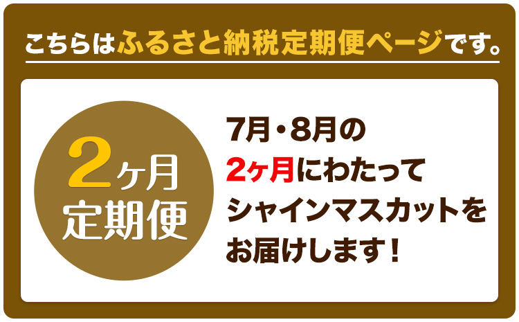 【2025年先行予約】ぶどう 2ヶ月 定期便 シャインマスカット 晴王 700g 岡山県産《7月上旬-8月末頃出荷》 ハレノフルーツ マスカット 送料無料 岡山県 浅口市 フルーツ 果物 国産 岡山県産【配送不可地域あり】（北海道・沖縄・離島）