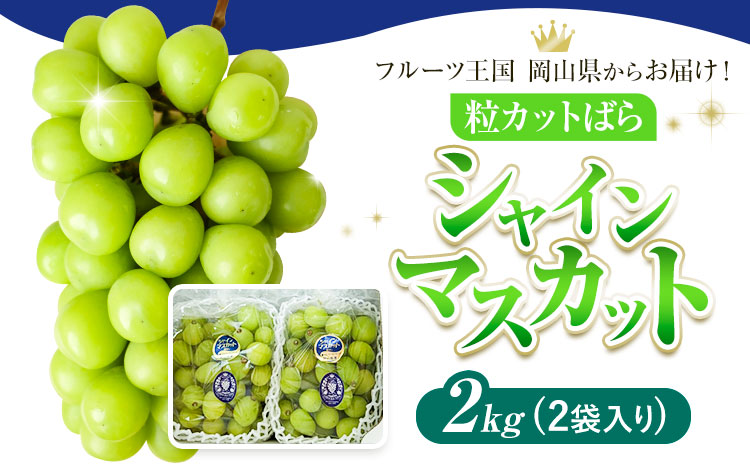 シャインマスカット 粒カット ばら 約2kg (2袋入り) 【先行予約】 Lino ＆ Kai Farm《2026年10月上旬-11月中旬頃出荷》マスカット 送料無料 岡山県 浅口市 シャインマスカット 岡山 ぶどう フルーツ 果物st-p
