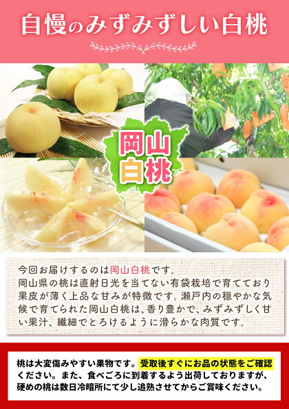 【2026年先行予約】桃 もも 岡山白桃 4玉 約1kg 岡山県産 環山堂株式会社《2026年7月上旬-8月上旬頃出荷》岡山県 浅口市 白桃 果物 フルーツ 送料無料st-p