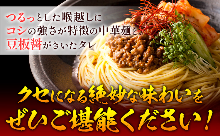 手延べピリ辛中華 タレ付き 1袋300g ( 麺 180g スープ 60g×2 ) 2食入 × 5袋 計10食 奥島屋 株式会社奥島創麺巧房《30日以内に出荷予定(土日祝除く)》岡山県 浅口市 送料無料 中華麺 冷やし中華 冷麺 細麺 豆板醤 ゴマ油