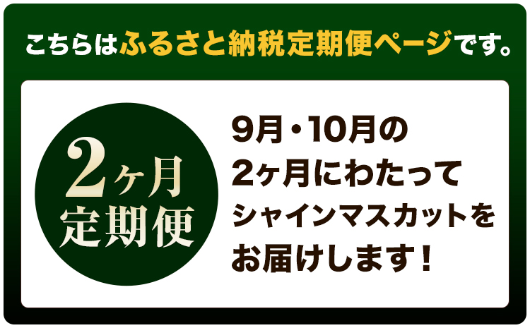 【2ヶ月定期便】ぶどう シャインマスカット 赤秀 プレミアム 晴王 600g 1房 ハレノフルーツ(アストライ)《9月上旬-10月末頃出荷》岡山県 浅口市 送料無料 フルーツ 果物 マスカット お取り寄せフルーツ【配送不可地域あり】（北海道・沖縄・離島）