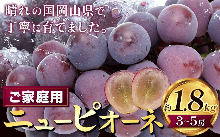 [2026年先行予約]ぶどう ニューピオーネ ご家庭用 約 1.8kg 3〜5房[2026年8月上旬-9月中旬頃出荷]株式会社fruceed ぶどう 送料無料 岡山県 浅口市 ぶどう フルーツ 果物 くだもの ピオーネ 家庭用st-p