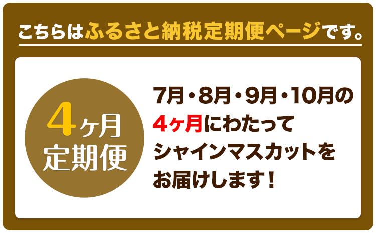 【2025年先行予約】ぶどう 4ヶ月 定期便 シャインマスカット 晴王 1.4kg（2房） 岡山県産《7月上旬-10月末頃出荷》 ハレノフルーツ マスカット 送料無料 岡山県 浅口市 フルーツ 果物 国産 岡山県産【配送不可地域あり】（北海道・沖縄・離島）