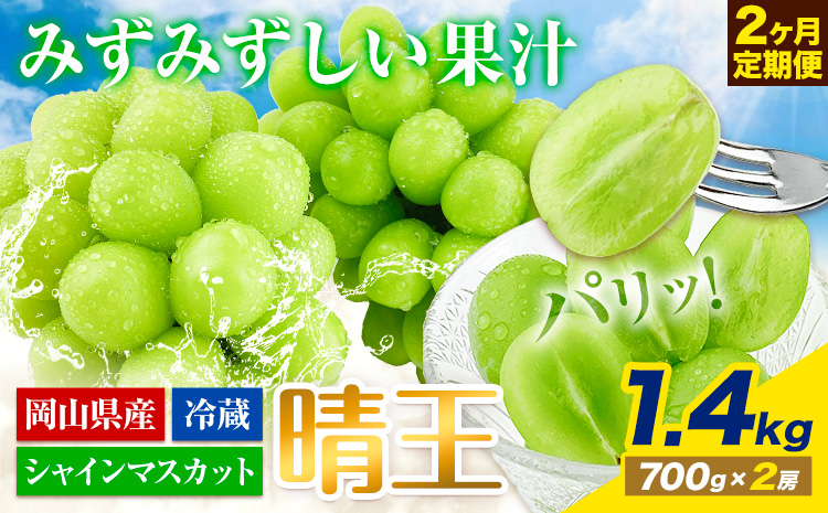 【2025年先行予約】ぶどう 2ヶ月 定期便 シャインマスカット 晴王 1.4kg（2房） 岡山県産《7月上旬-8月末頃出荷》 ハレノフルーツ マスカット 送料無料 岡山県 浅口市 フルーツ 果物 国産 岡山県産【配送不可地域あり】（北海道・沖縄・離島）