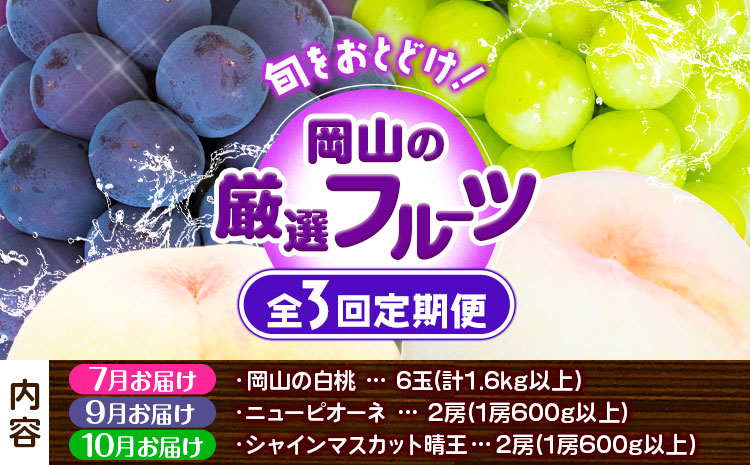 【2025年先行予約】岡山の厳選フルーツ 定期便3回コース 岡山の白桃 6玉(1.6kg以上) ニューピオーネ 2房(1房600g以上) シャインマスカット 晴王 2房(1房600g以上) 化粧箱入り 株式会社山博(中本青果) 《2025年7月上旬-10月下旬頃出荷》岡山県 浅口市 送料無料 【配送不可地域あり】（北海道・沖縄・離島）
