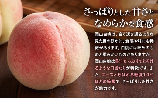 ãå
è¡äºçŽã岡山çç£ å²¡å±±çœæ¡ ãšãŒã¹ Lïœ3Lãµã€ãº ã·ã£ã€ã³ãã¹ã«ãã èš 1kg è©°åã æ ªåŒäŒç€Ÿ ã¯ã¡ãã7æäžæ¬-8æäžæ¬é åºè·ããã 岡山 åœç£ ãã«ãŒã æç© å²¡å±±ç æµ
å£åž ãã«ãŒã ã¢ã¢ æç©ãé
éäžå¯å°åããã