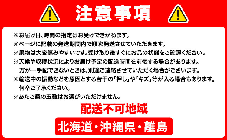 【2026年先行予約】定期便3回コース(隔月) 岡山のフルーツ 岡山の白桃8玉 (計1.7kg以上) シャインマスカット 晴王 2房 (1房600g以上) あたご梨 4~5玉 (約4kg) 化粧箱入り 株式会社山博(中本青果) 《2026年7月上旬-11月下旬頃出荷》 岡山県 浅口市 送料無料  【配送不可地域あり】（北海道・沖縄・離島）