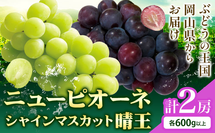 シャインマスカット【晴王】 & ニューピオーネ 600g以上(各1房) 【先行予約】 株式会社Myself《2025年9月上旬-11月上旬頃出荷》マスカット 送料無料 岡山県 浅口市 ぶどう フルーツ 果物 贈り物 ギフト