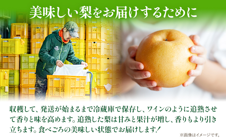 ã2026幎å
è¡äºçŽã梚 ãªã 2kg 梚 ãããæ¢š 1ç 2ç 鎚梚 2ç ç¹éžç®± ç³åææš¹å ãã ãã® ãã«ãŒã ã2026幎11æäžæ¬-12æäžæ¬é ããçºéäºå®ãå²¡å±±ç æµ
å£åž 岡山çç£ æç© ãã«ãŒã 梚 è©°ãåãã èŽççš