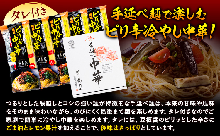 手延べピリ辛中華 タレ付き 1袋300g ( 麺 180g スープ 60g×2 ) 2食入 × 5袋 計10食 奥島屋 株式会社奥島創麺巧房《30日以内に出荷予定(土日祝除く)》岡山県 浅口市 送料無料 中華麺 冷やし中華 冷麺 細麺 豆板醤 ゴマ油