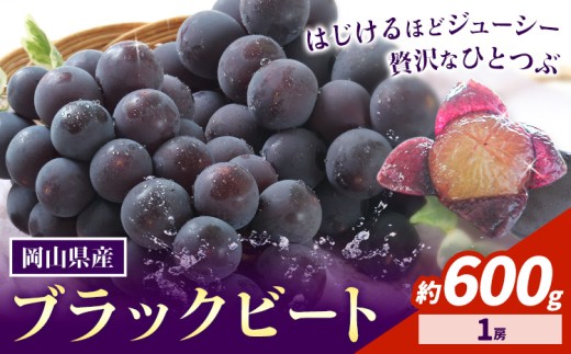【先行予約】岡山県産 ぶどう ブラックビート 600g 1房 株式会社 はちや《8月上旬-9月上旬頃出荷》岡山 国産 葡萄 フルーツ 果物 岡山県 浅口市 フルーツ 果物【配送不可地域あり】