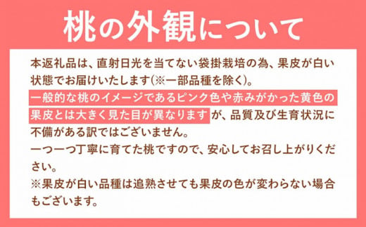 【令和7年度受付分 先行予約】おかやま白桃 もも 桃 1kg 3~5玉前後 岡山県産 ご家庭用《2025年6月下旬-9月上旬頃出荷》岡山県 浅口市 厳選出荷 白桃  白鳳 清水白桃 おかやま夢白桃 川中島白桃 白皇 果物 フルーツ