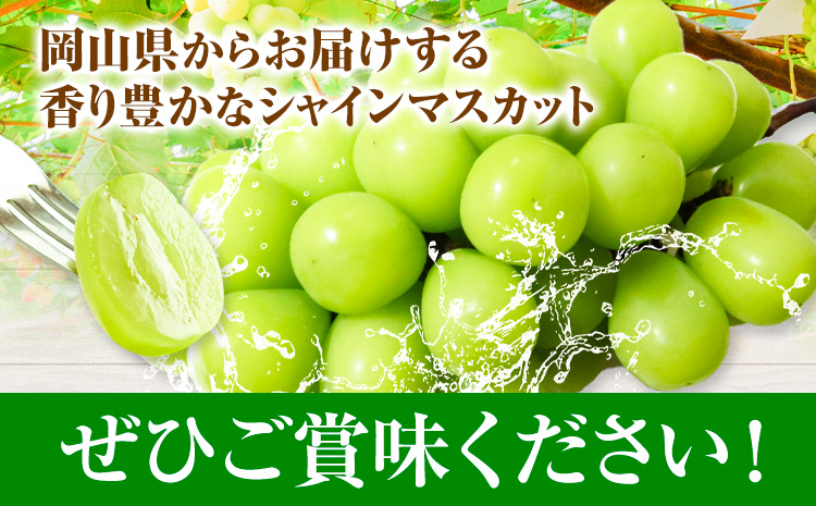 【2025年先行予約】シャインマスカット 1房 700g ウィズフラワーホールディングス《2025年9月上旬-10月中旬頃出荷》岡山県 浅口市 ぶどう マスカット フルーツ 旬 果物 国産 岡山県産 送料無料 冷蔵【配送不可地域あり】（北海道・沖縄・離島）