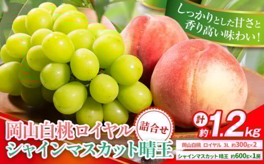 【先行予約】岡山県産 岡山白桃 ロイヤル L~ 3Lサイズ シャインマスカット 計 1.2kg 詰合せ 株式会社 はちや《7月上旬‐8月下旬頃出荷》もも 岡山 国産 フルーツ 果物 岡山県 浅口市 フルーツ モモ 果物【配送不可地域あり】
