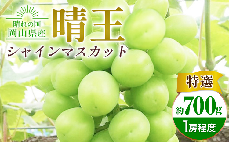 ぶどう シャインマスカット晴王 約700g 特選 1房程度 橋田商店有限会社《9月中旬-11月中旬頃出荷》 岡山県 浅口市 岡山県産 ぶどう フルーツ 果物 くだもの マスカット 送料無料【配送不可地域あり】（北海道・沖縄・離島）st-p