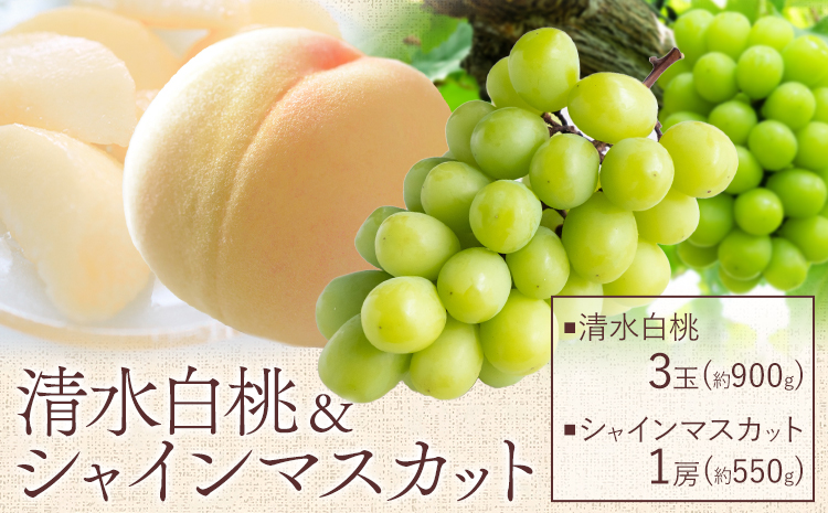 【先行予約】清水 白桃 3玉 計約900g（1玉約300g）シャインマスカット 晴王 1房 550g以上 もも 葡萄 詰合せ 岡山 国産 フルーツ 果物 ギフト 桃茂實苑《7月中旬-8月上旬頃出荷》岡山県 浅口市 フルーツ ぶどう 桃 果物 青果【配送不可地域あり】