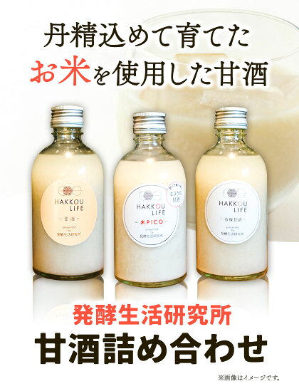 甘酒 詰め合わせ 300ml 6本 発酵生活研究所 丸本酒造株式会社 《30日以内に出荷予定(土日祝除く)》岡山県 浅口市 セット ノンアルコール 白麹 送料無料