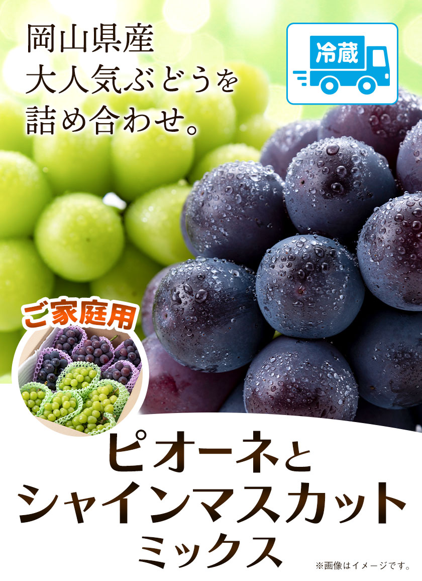 ぶどう ピオーネ と シャインマスカット ミックス ご家庭用 約1.2kg (2房)《10月上旬-10月下旬頃出荷》もりおか農園 送料無料 岡山県 浅口市 ぶどう フルーツ 果物 くだもの 家庭用 【配送不可地域あり】