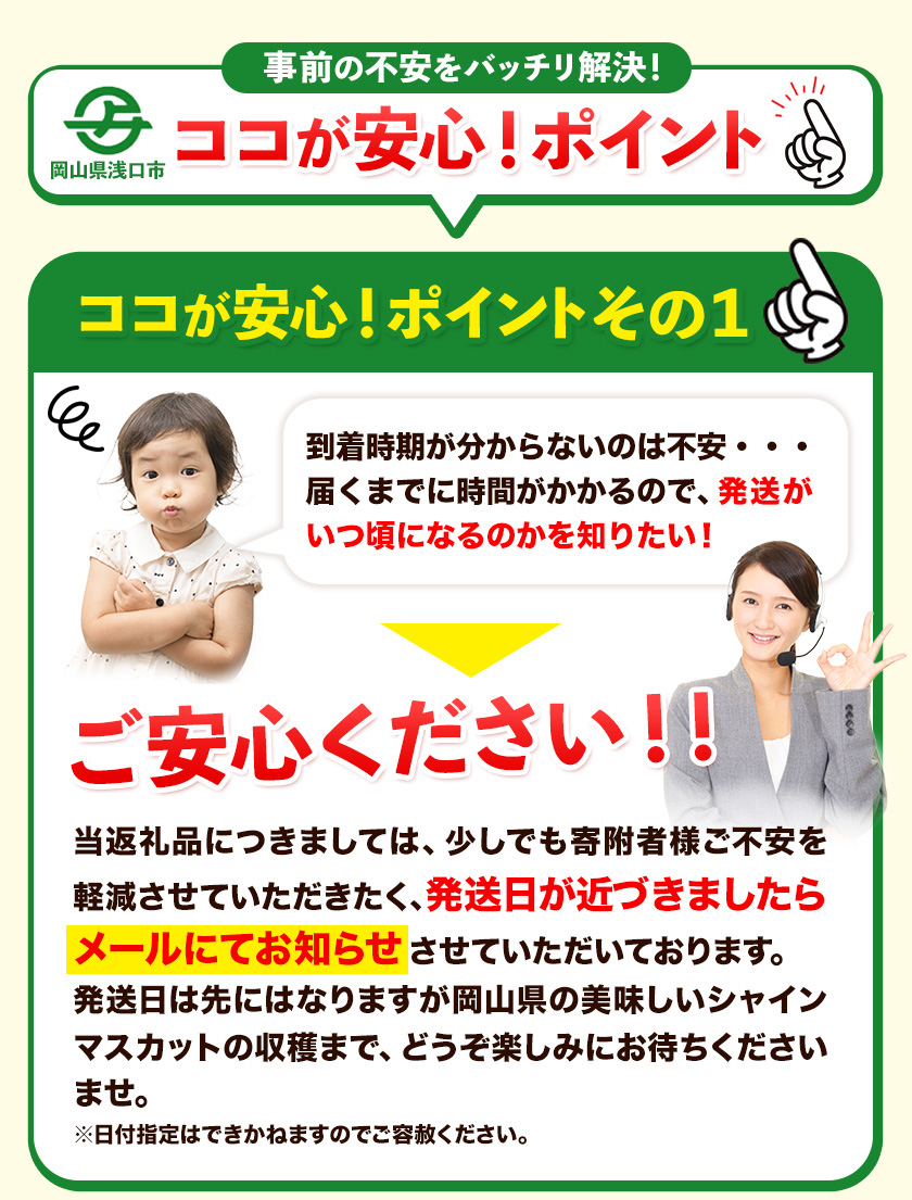 秀品 シャインマスカット 約 1.2kg 2房《9月中旬-11月上旬頃より発送予定(土日祝除く)》岡山県 浅口市 シャインマスカット ぶどう フルーツ 果物 贈り物 ギフト 国産 岡山県産 送料無料