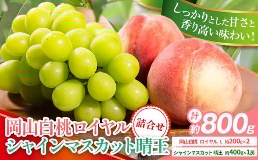 【先行予約】岡山県産 岡山白桃 ロイヤル L~ 3Lサイズ シャインマスカット 計 800g 詰合せ 株式会社 はちや《7月上旬‐8月下旬頃出荷》もも 岡山 国産 フルーツ 果物 岡山県 浅口市 フルーツ モモ 果物【配送不可地域あり】