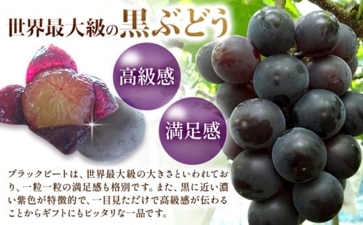 ãå
è¡äºçŽã岡山çç£ ã¶ã©ã ãã©ãã¯ããŒã èš 1.5kg 3æ¿ ïœ 6æ¿ æ ªåŒäŒç€Ÿ ã¯ã¡ãã8æäžæ¬-9æäžæ¬é åºè·ã岡山 åœç£ è¡è ãã«ãŒã æç© å²¡å±±ç æµ
å£åž ãã«ãŒã æç©ãé
éäžå¯å°åããã