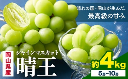 【先行予約】 岡山県産 シャインマスカット 晴王 計 4kg 5房 ～ 10房 株式会社はちや《7月上旬‐8月下旬頃出荷》岡山県 浅口市 ぶどう 葡萄 フルーツ ギフト 果物 デザート 国産【配送不可地域あり】