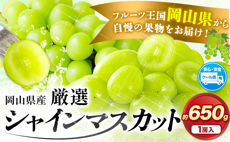 [速攻出荷!]厳選 シャインマスカット 1房 (約650g) 訳あり[3-7営業日以内に出荷予定(土日祝除く)]マスカット 送料無料 岡山県 浅口市 シャインマスカット ぶどう フルーツ 果物 贈り物 ギフト 国産 岡山県産