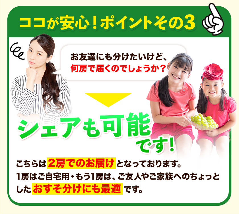 【先行予約】厳選 訳あり シャインマスカット 約 1.3kg 2房《2024年9月中旬-11月上旬頃より発送予定(土日祝除く)》岡山県 浅口市 シャインマスカット ぶどう フルーツ 果物 贈り物 ギフト 国産 岡山県産 送料無料