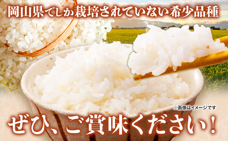 岡山県産 あさひ 10kg (5kg×2袋) 令和5年産米 全農パールライス株式会社 岡山県 浅口市《90日以内に出荷予定(土日祝除く)》精米 米 送料無料