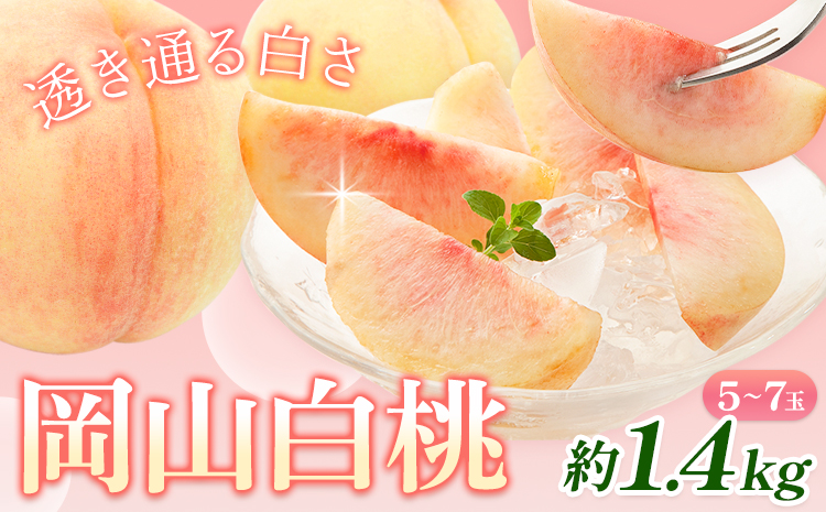 【先行予約】桃 岡山白桃 約1.4kg 5-7玉 株式会社藍《2025年7月中旬-8月上旬頃出荷》 岡山県 浅口市 岡山県産 もも フルーツ 果物 くだもの 白桃 送料無料