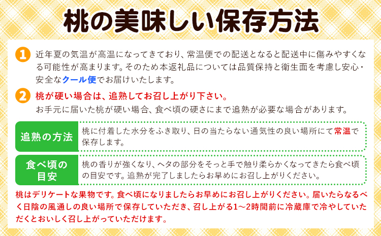 【先行予約】岡山の白桃2回コース 8玉 (1.7kg以上) 株式会社山博 (中本青果)《2026年7月上旬から8月上旬頃出荷》岡山県 浅口市 桃 もも フルーツ 送料無料 冷蔵 定期便【配送不可地域あり】（北海道・沖縄・離島）