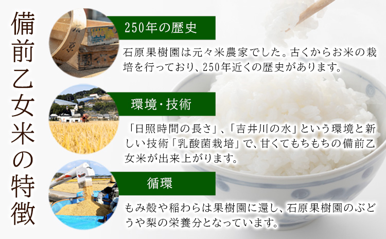 米 こめ コメ 備前乙女米 玄米 10kg 石原果樹園 《90日以内に出荷予定(土日祝除く)》岡山県 浅口市 ご飯 お米 国産 岡山県産 送料無料