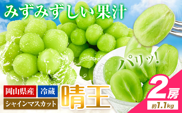 ぶどう [2025年先行予約] シャインマスカット 晴王 岡山県産 2房 約1.1kg《9月上旬-10月上旬頃出荷(土日祝除く)》 ハレノフルーツ マスカット 送料無料 岡山県 浅口市 フルーツ 果物 贈り物 ギフト 国産 岡山県産 くだもの 青果物 【配送不可地域あり】（北海道・沖縄・離島）
