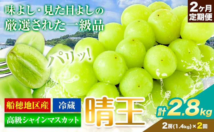 高級 シャインマスカット 2ヶ月 定期便 [2026年先行予約] ぶどう 晴王 2房 2.8kg 岡山県産 《9月上旬-10月末頃出荷(土日祝除く)》 ハレノフルーツ マスカット 送料無料 岡山県 浅口市 フルーツ 果物 贈り物 ギフト 国産 岡山県産【配送不可地域あり】（北海道・沖縄・離島）
