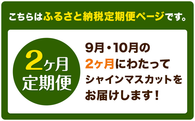 【2ヶ月定期便】ぶどう シャインマスカット 晴王 1.2kg 2房 ハレノフルーツ(アストライ)《9月上旬-10月末頃出荷》岡山県 浅口市 送料無料 フルーツ 果物 マスカット お取り寄せフルーツ【配送不可地域あり】（北海道・沖縄・離島）